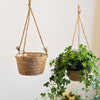 Woven hanging planter basket