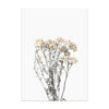 Nordic plant canvas art color detail
