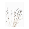 Nordic plant painting packaging